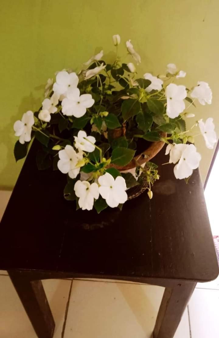 Bhoboghure Homestay Santiniketan Bolpur Extérieur photo